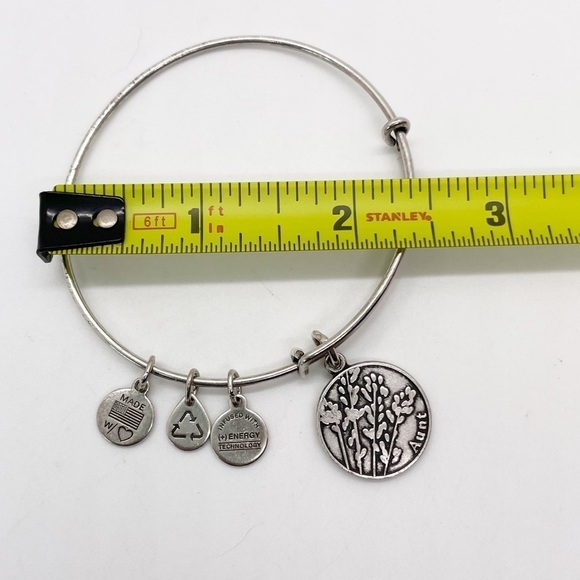 Alex and Ani Silver Tone Aunt Charm Bracelet - Picture 2 of 3